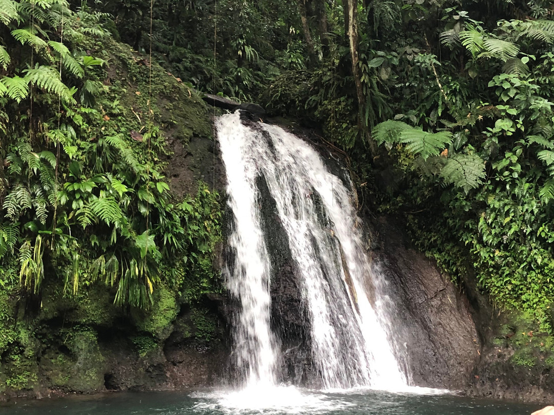 Bassin Paradise-Capesterre-Belle-Eau必去景点