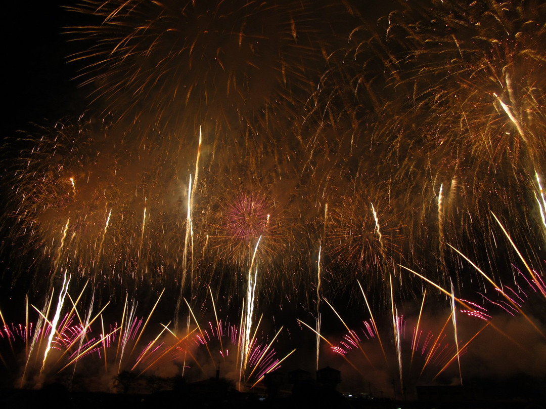 Tsuchiura All Japan Fireworks Competition景点图片