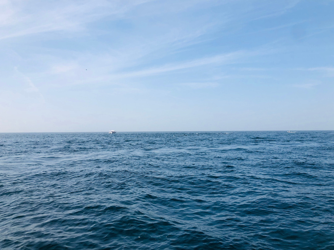 Grand City Centre (GCC) Tours-马斯喀特必去景点