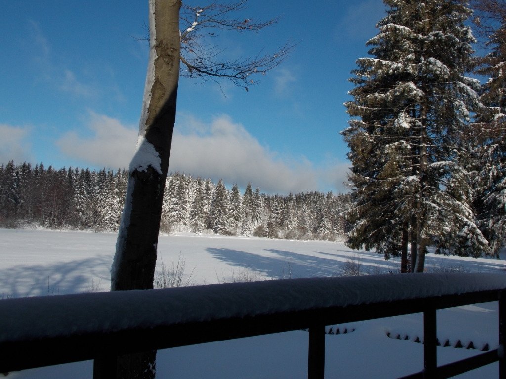 Ferienpark Waldsee-官方