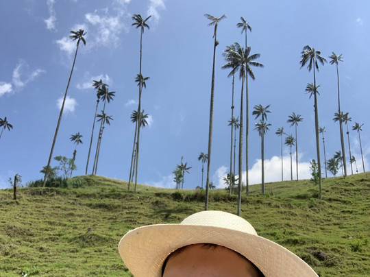 Overlanding Colombia-波哥大必去景点