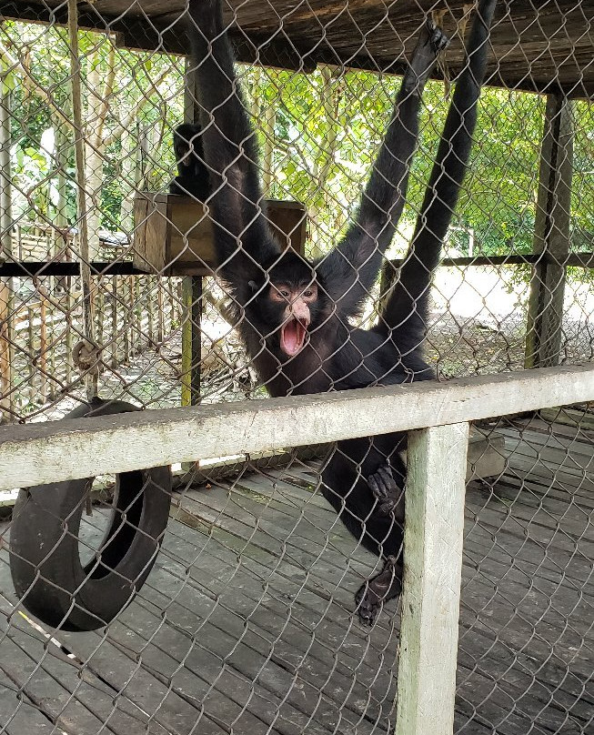 La Jungla Ecolodge-Pucallpa必去景点