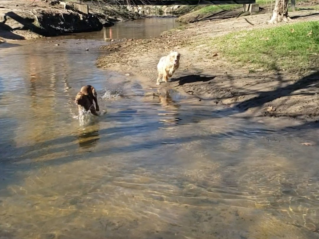 Tyler's Place Dog Park-梅肯必去景点