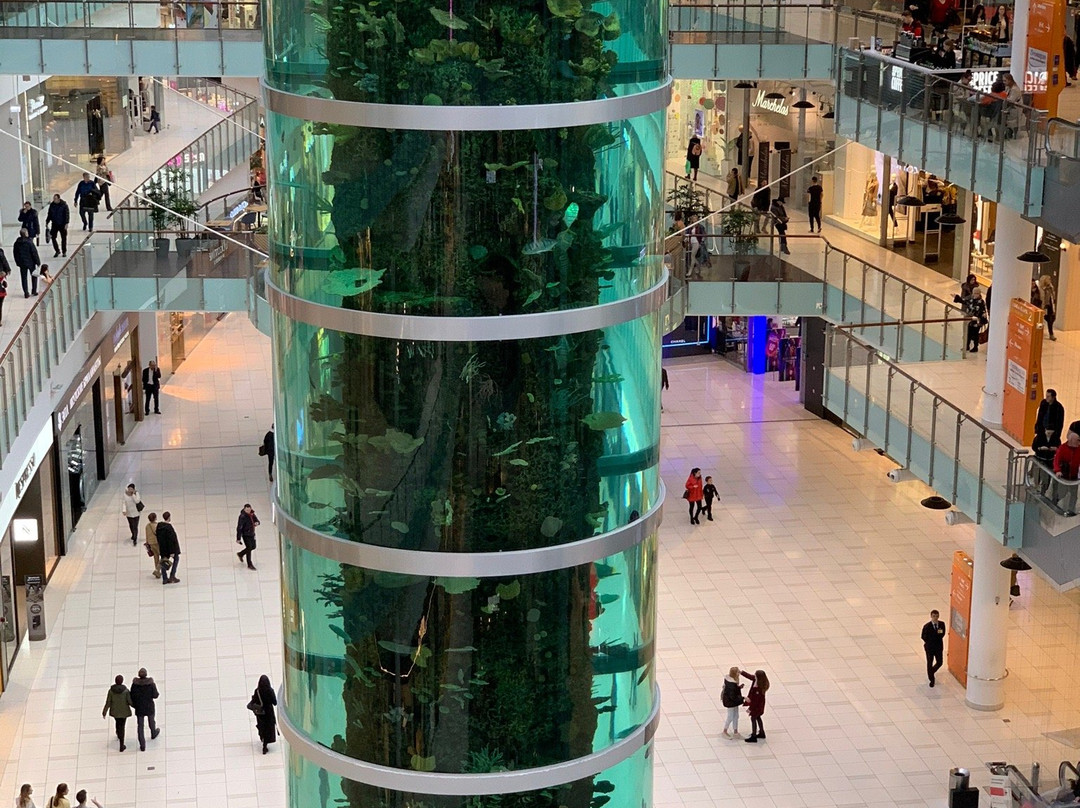 The Tallest Cylindrical Aquarium in the World景点图片