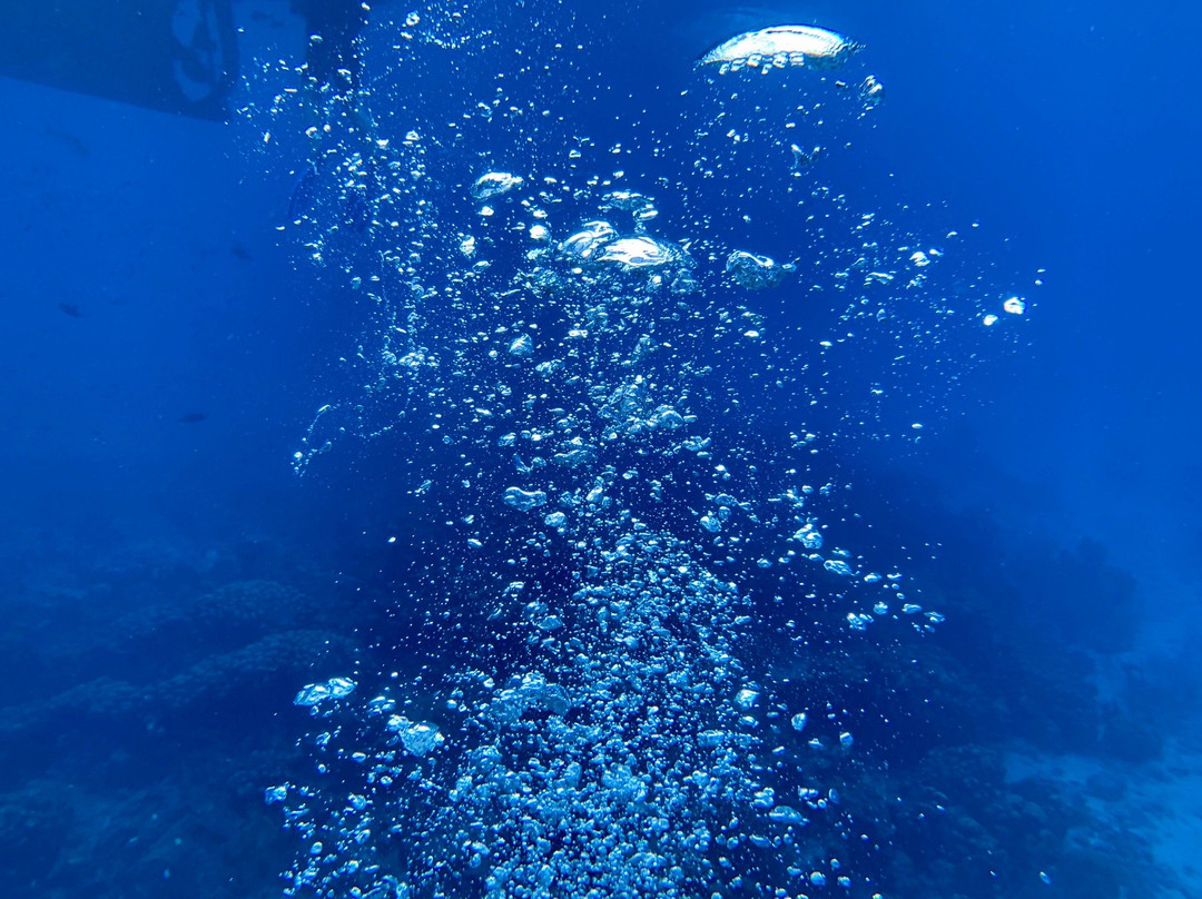 GwadActivites-Le Gosier必去景点