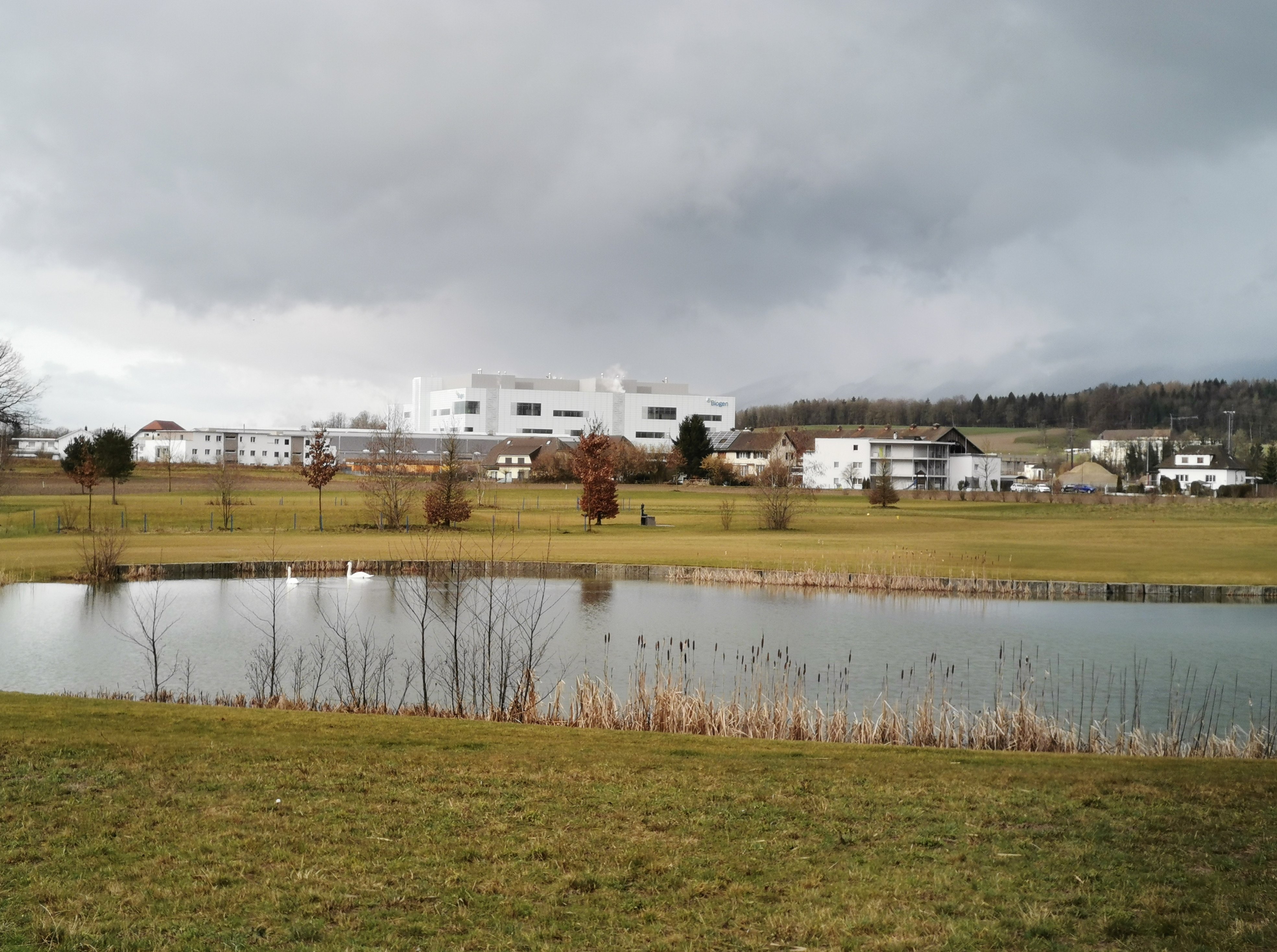Park Forum Wylihof-家庭/游戏区