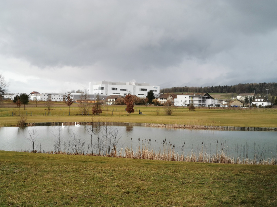 Park Forum Wylihof主图