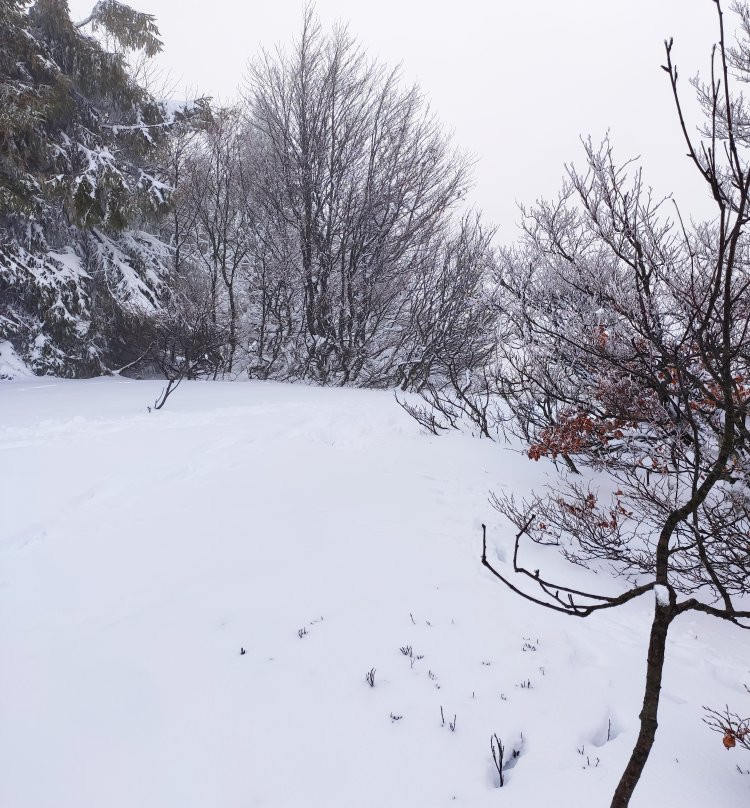 Ma Hotte Balades et Randonnées-La Bresse必去景点