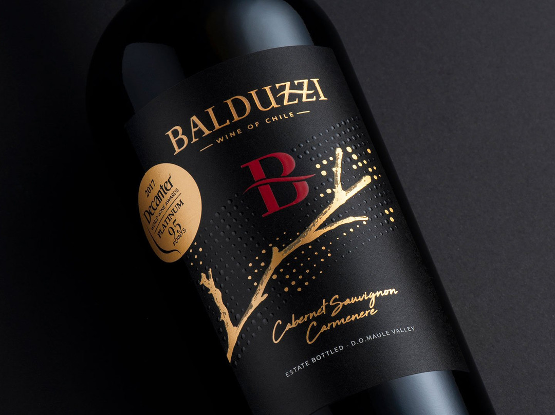 Balduzzi Vineyards & Winery-San Javier必去景点