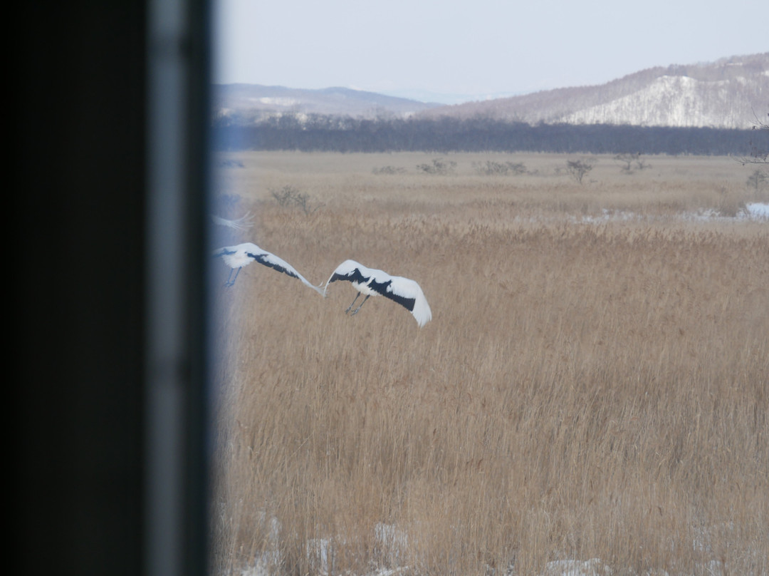 Kushiro Shitsugen Station-钏路町必去景点