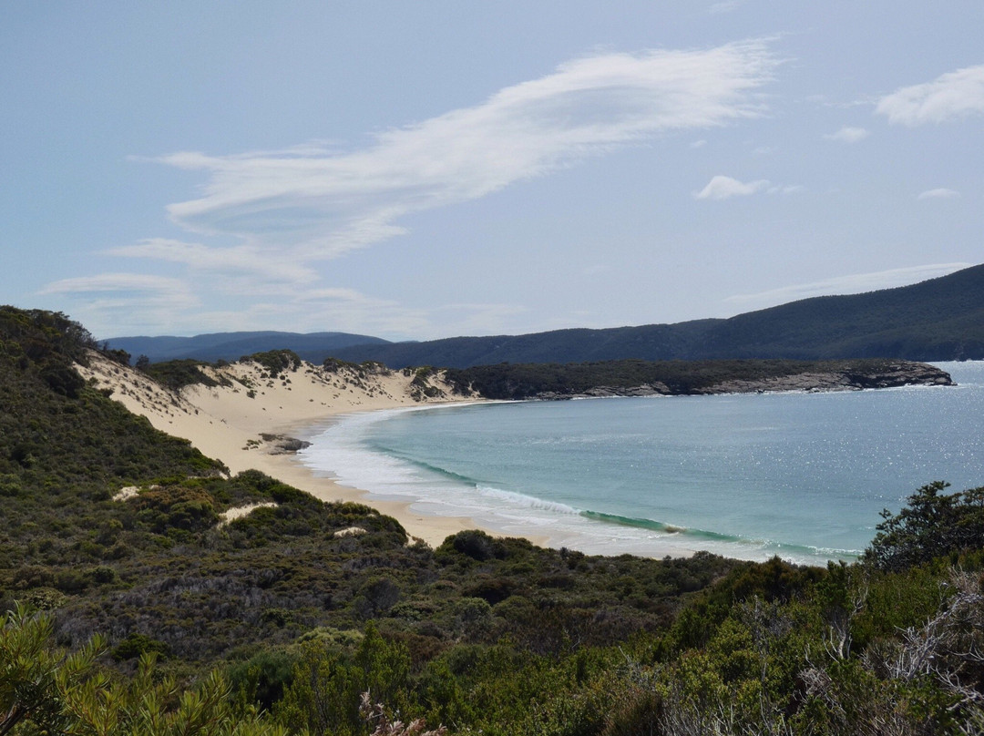 Mount Brown and Crescent Bay Walking Track-亚瑟港必去景点