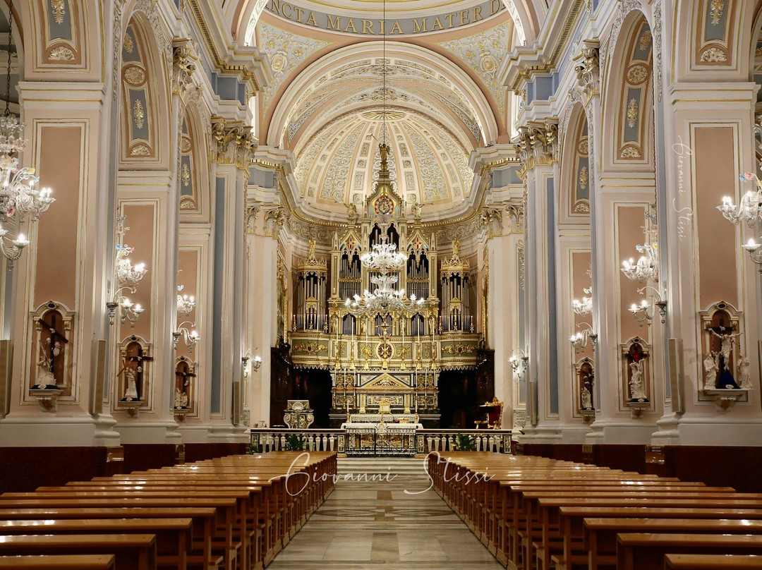 Basilica Collegiata Santuario Maria SS. dell'Elemosina景点图片