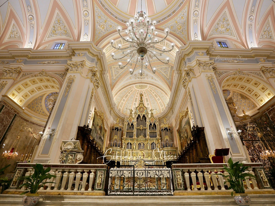 Basilica Collegiata Santuario Maria SS. dell'Elemosina景点图片
