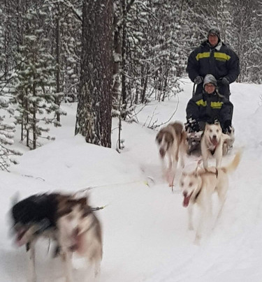 Stengelsen husky-阿尔塔必去景点