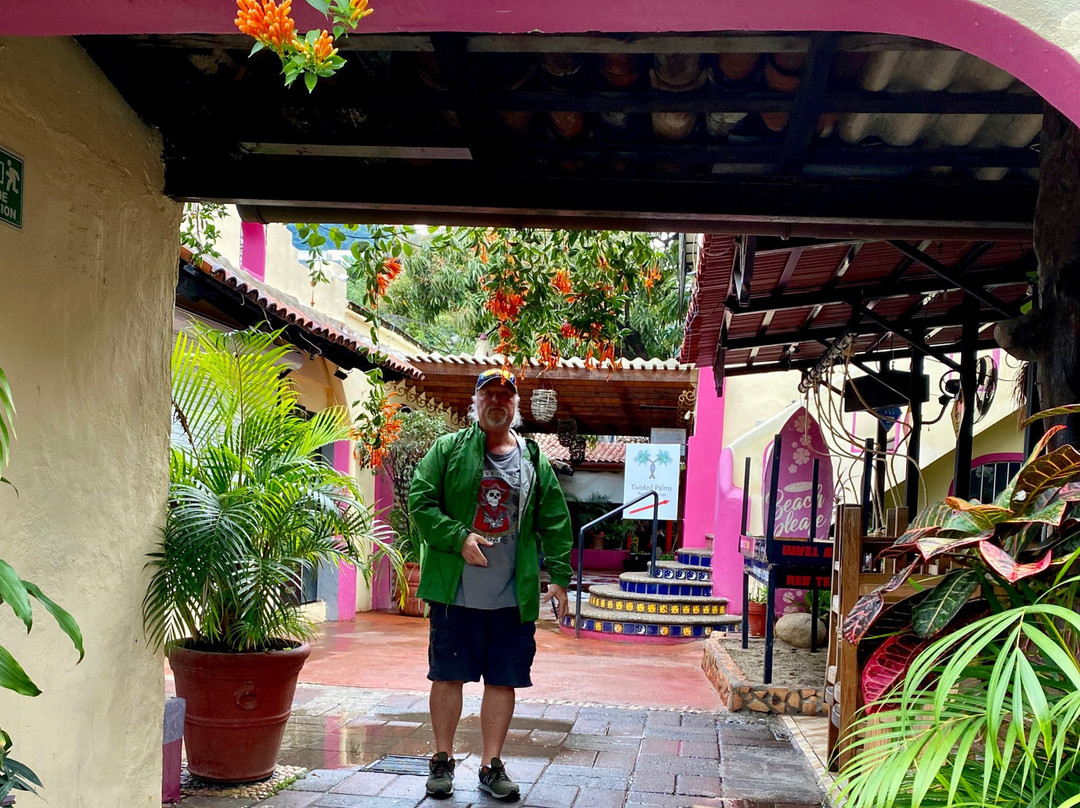 Twisted Palms Rooftop Lounge-瓦拉塔港必去景点