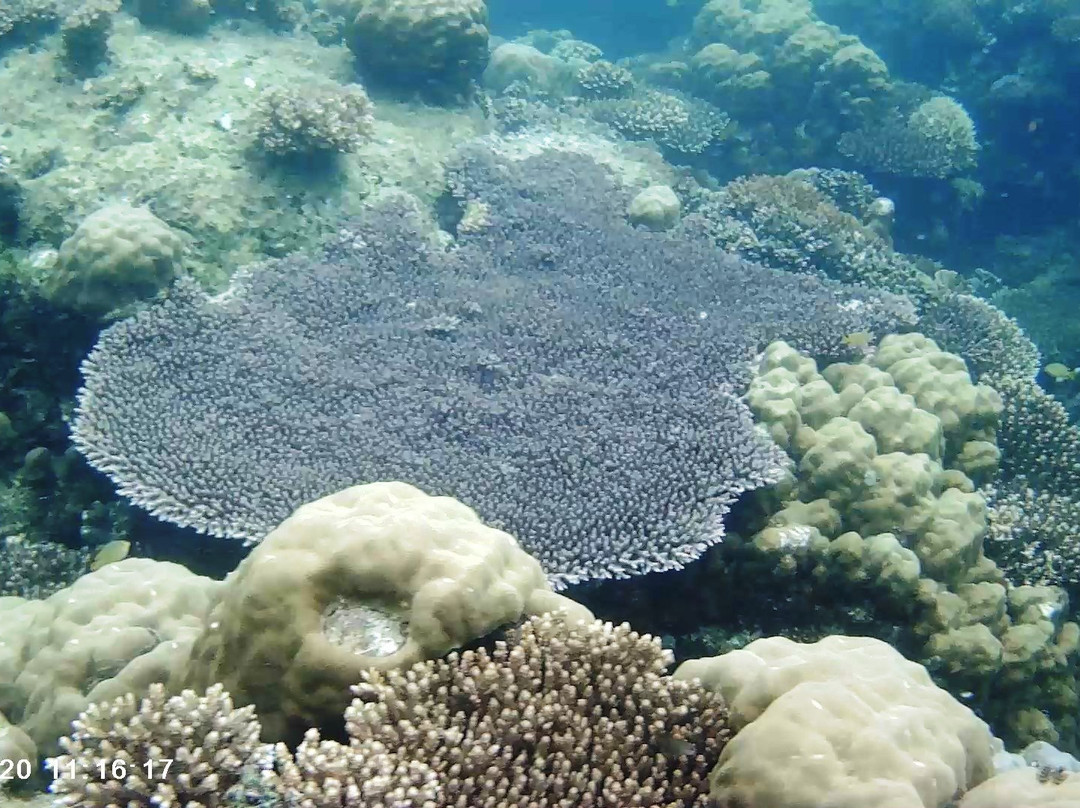 Reeftours Milne Bay-Alotau必去景点