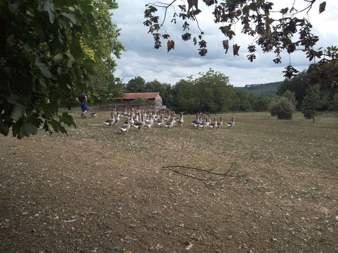 Ferme du Brusquand-Marquay必去景点