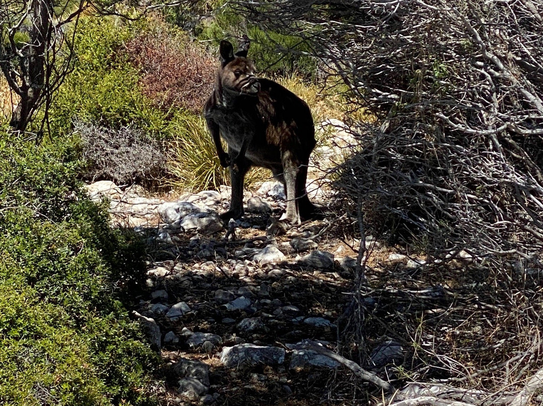 Exceptional Kangaroo Island景点图片