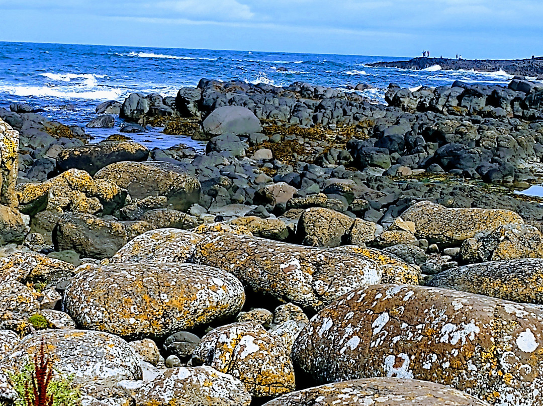 Causeway Coastal Walk景点图片
