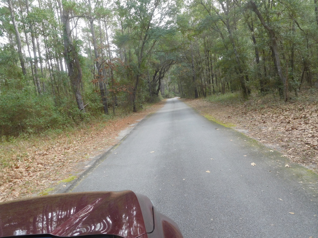 Harris Neck National Wildlife Refuge景点图片