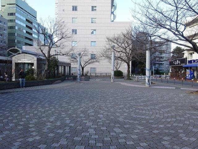 Someiyoshino Sakura Memorial Park-Komagome必去景点