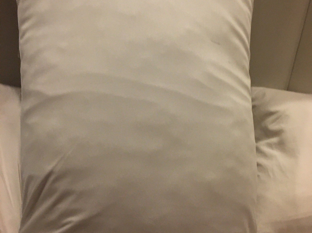 三叶草城市中心酒店主图