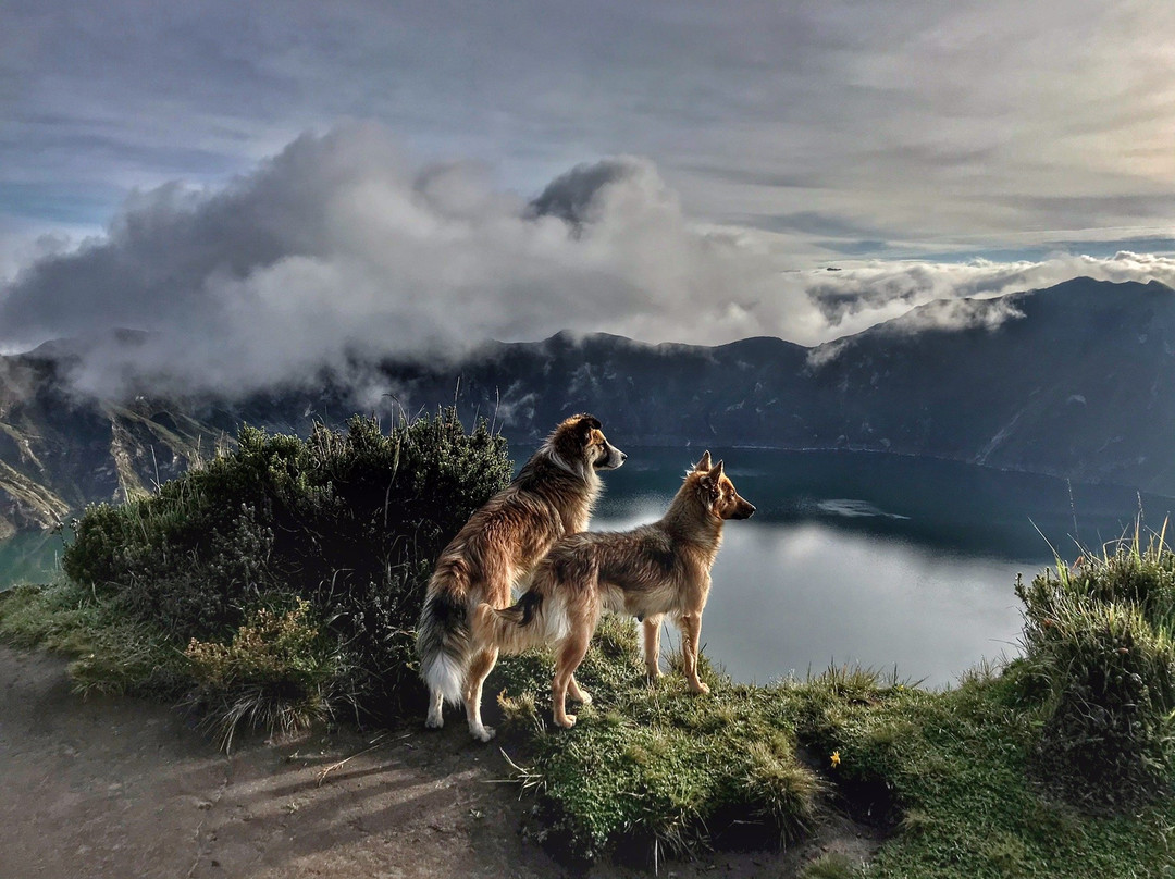 Sendero al Fondo del Crater-Quilotoa必去景点