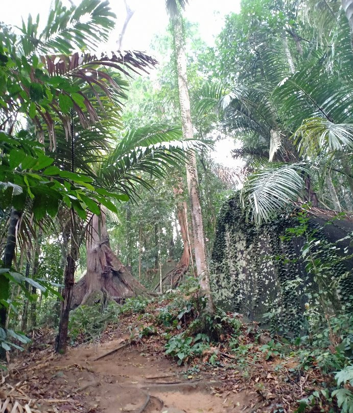 Bukit Mor-Parit Jawa必去景点