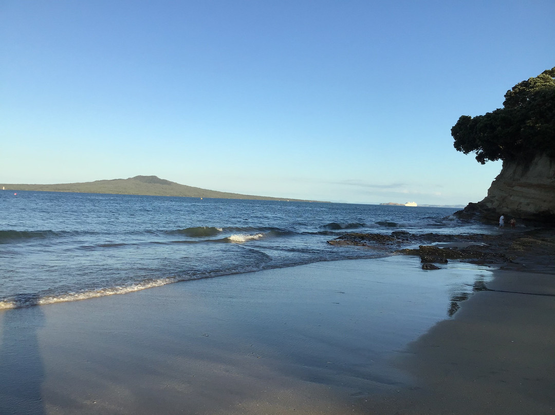 塔卡普纳海滩-奥克兰中心地区必去景点