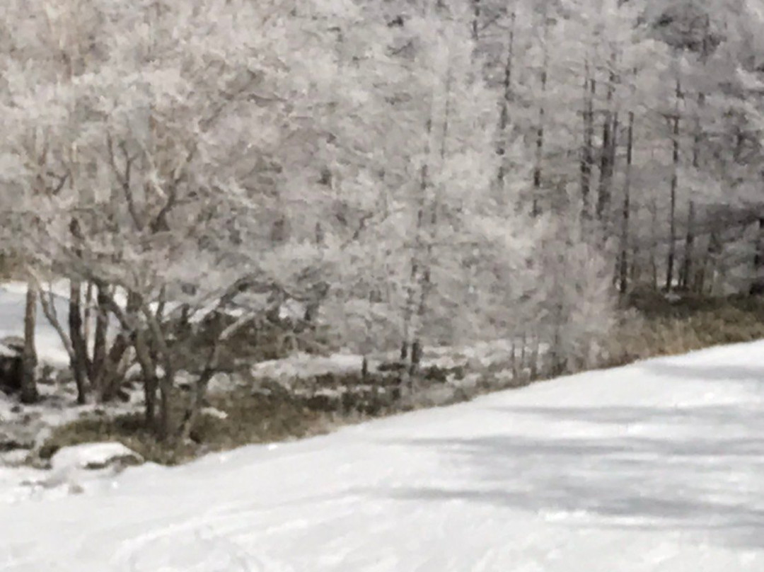Tsuboniwa Nature Park-茅野市必去景点