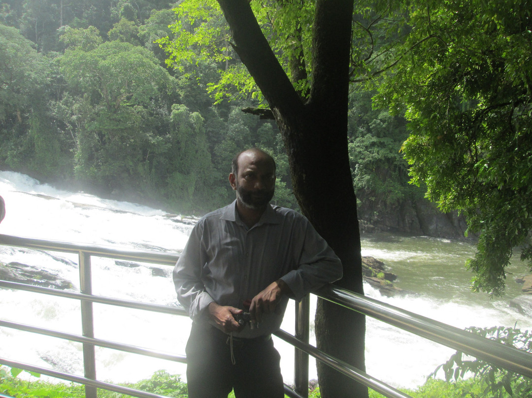 Vazhachal Falls景点图片