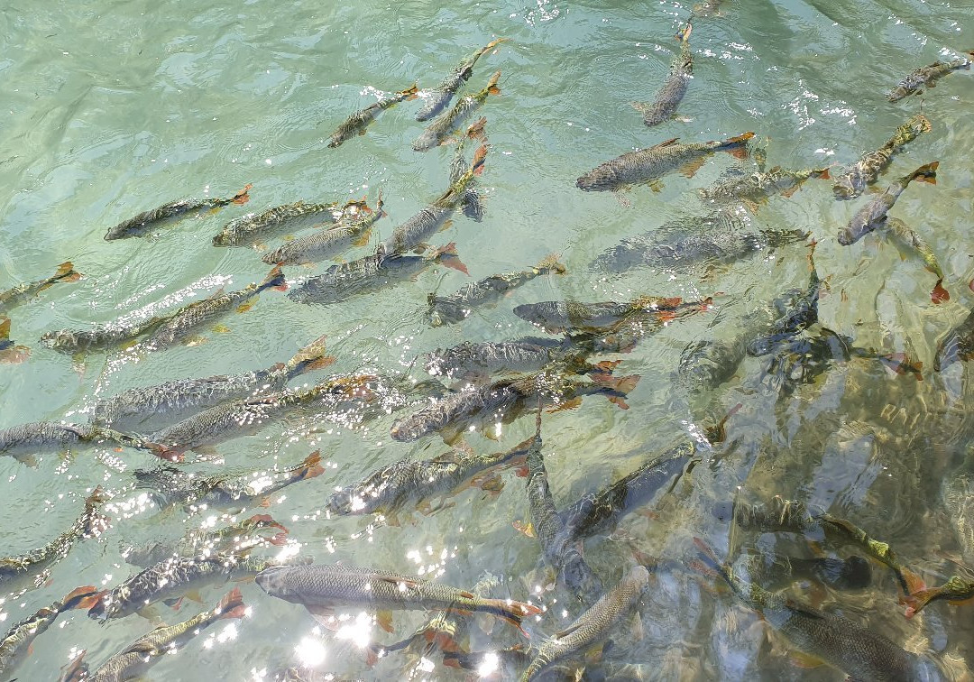 Jardim Ecopark-雅尔丁必去景点