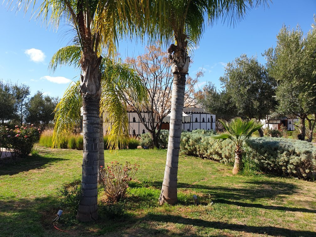 Villa Marco Marrakech主图