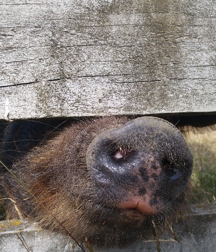 Dunsandel旅游攻略图片