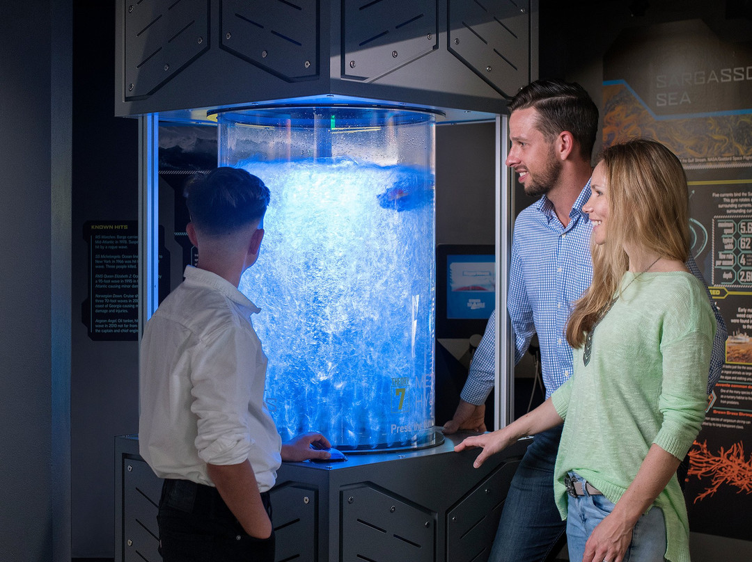 Bermuda Underwater Exploration Institute-汉密尔顿必去景点