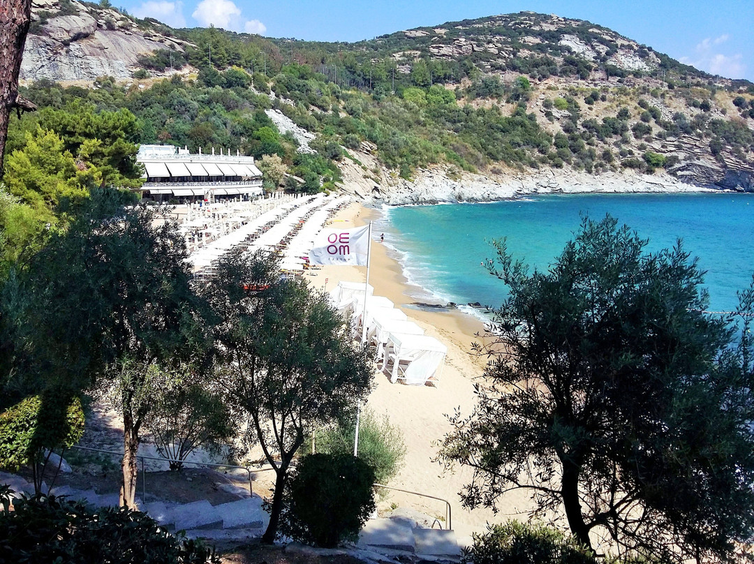 Tosca Beach Hotel主图