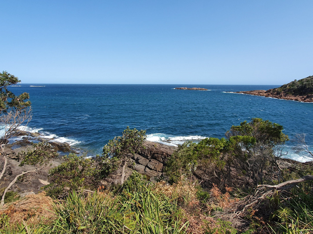 Barry Park Lookout景点图片