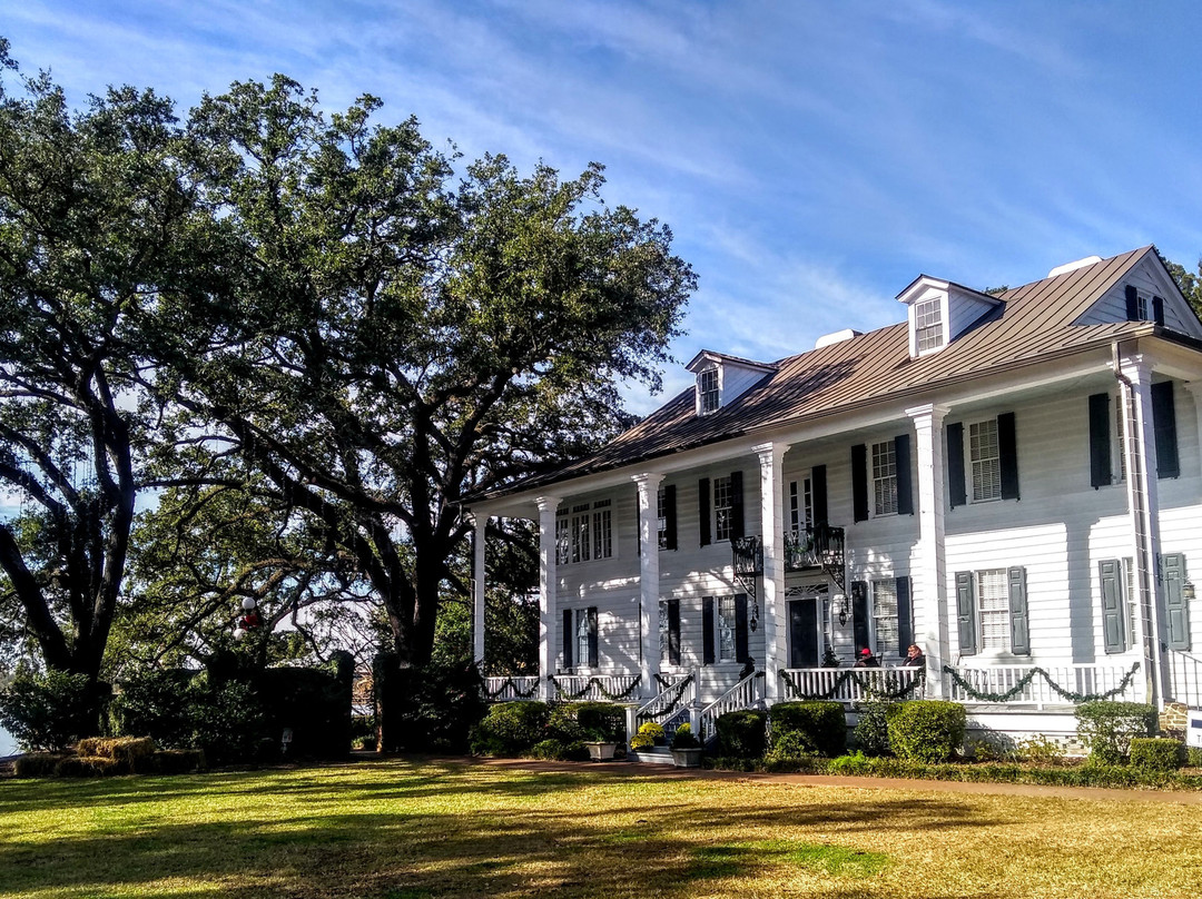 Kaminski House Museum景点图片