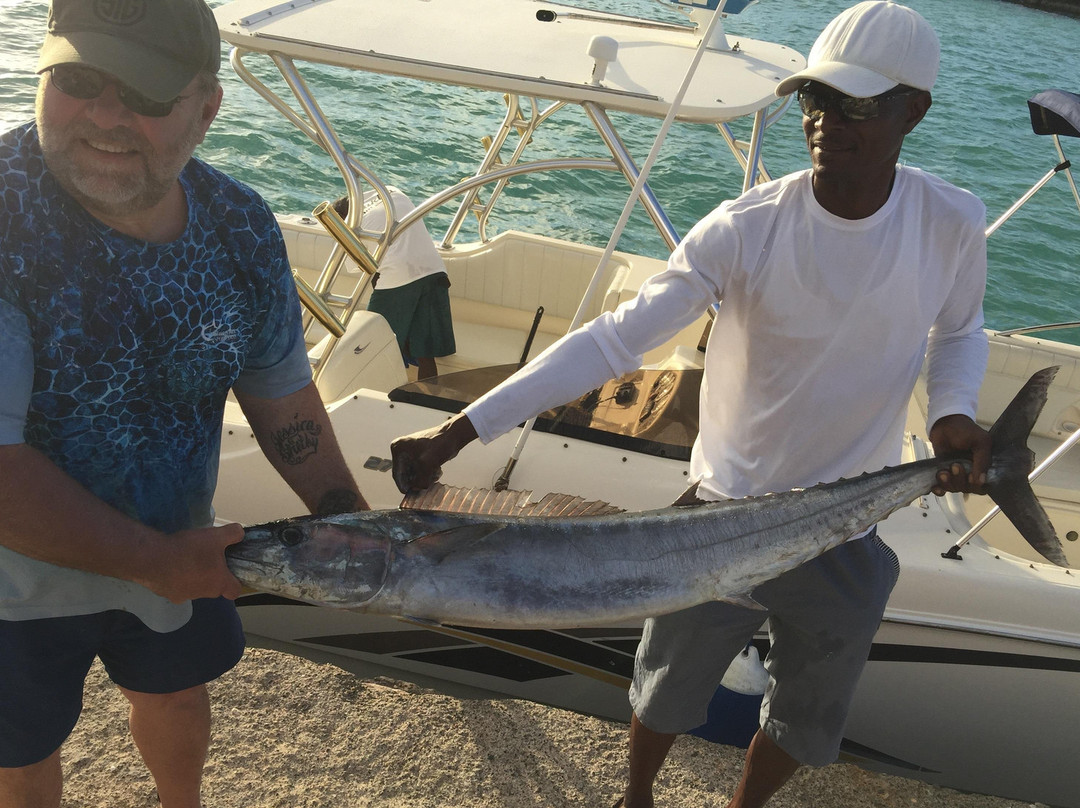 Salt Cay Whale Adventures-Salt Cay必去景点