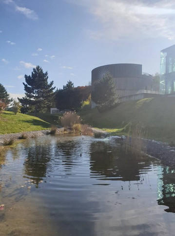 林斯伯格亚洲酒店及温泉Spa-限成人主图