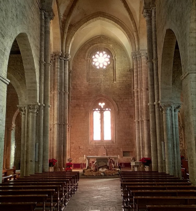 Basilica SS. Giovanni E Paolo景点图片