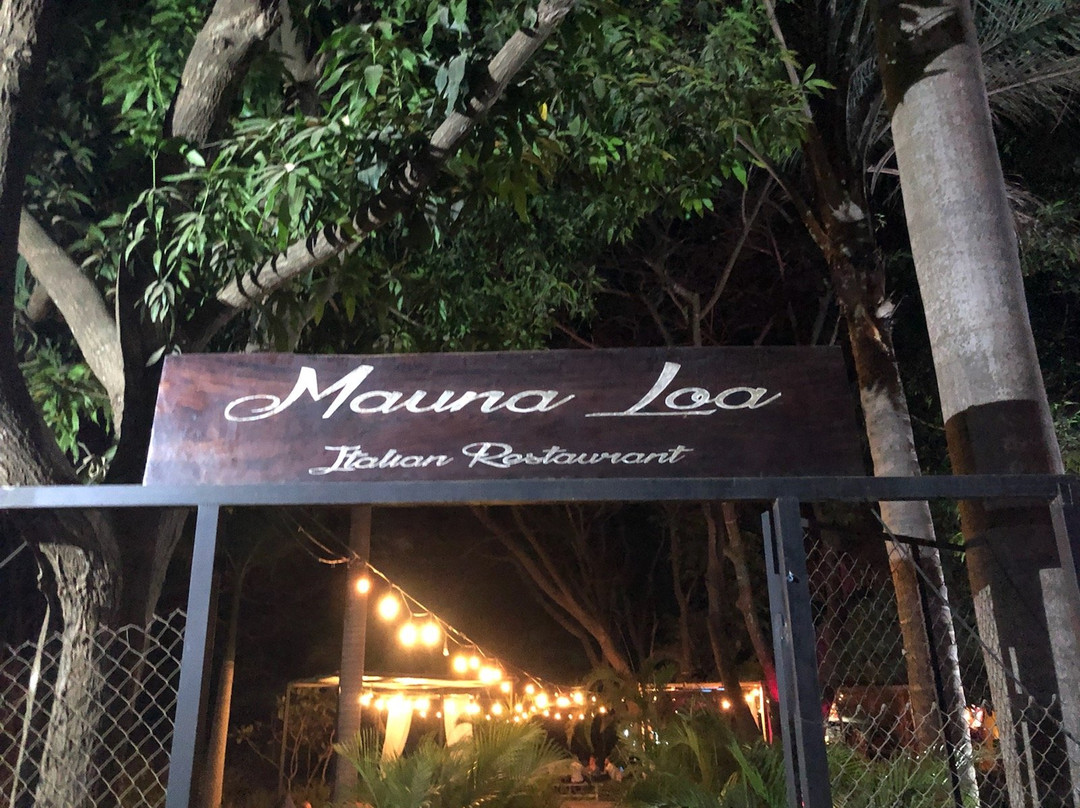 Hotel Mauna Loa主图