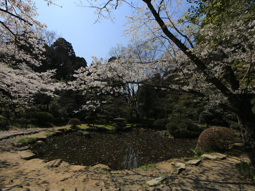 Katori Jingu Shrine景点图片