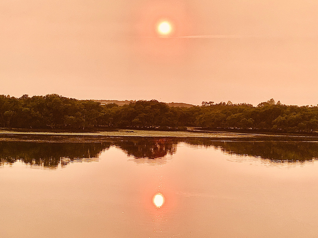 Black Swan Waterfront Motel主图