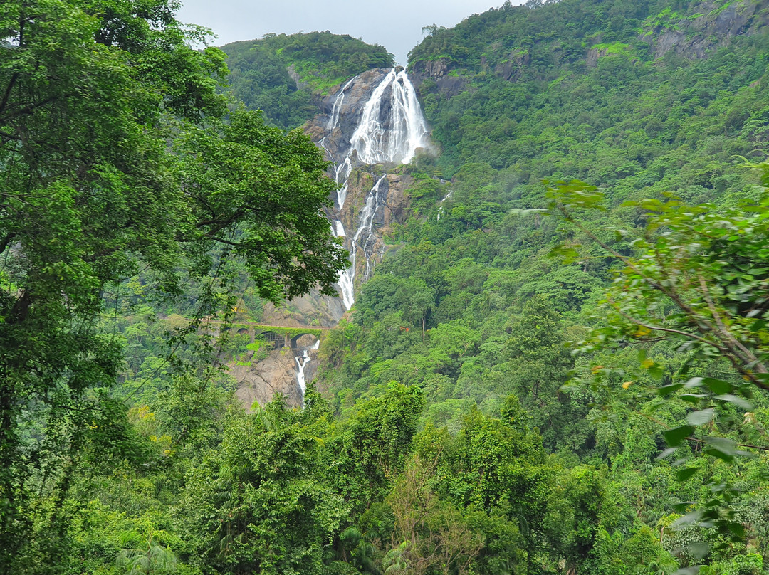 Dudhsagar Falls景点图片