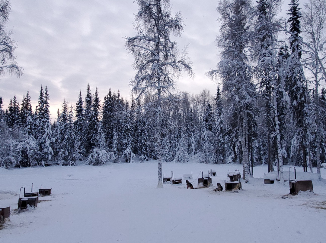 Friendly Arctic Adventures景点图片