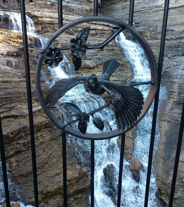 Hilton Grand Vacations Club Wilderness Club at Big Cedar Ridgedale主图