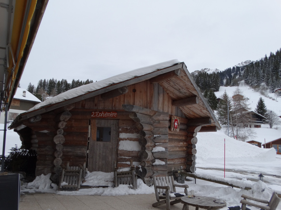 Hotel Le Relais Alpin主图