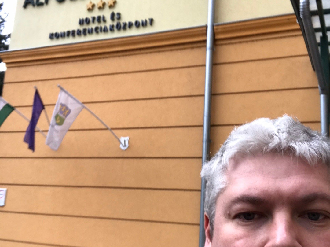 Alfold Gyongye Hotel Es Konferenciakozpont主图