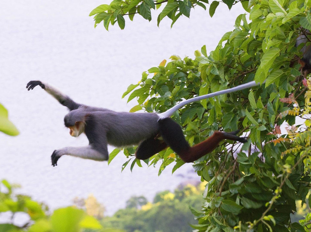 Jeep Adventure Viet Nam-会安必去景点